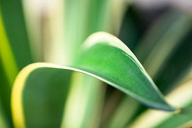 《武装突袭3》最新DLC“Spearhead 1944”上线